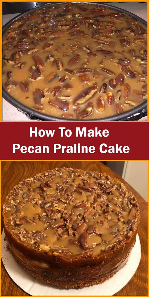 Pecan Torte, Southern Praline Cake, Pecan Praline Cake, Pecan Recipe, Brown Sugar Cakes, Praline Cake, Praline Recipe, Coconut Pecan Frosting, Butter Pecan Cake