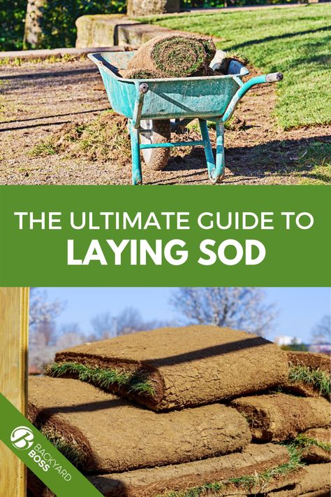 Laying Sod Diy Tips, How To Lay Sod, Sod Grass, Gardening Knowledge, Lawn Weeds, Lawn Repair, Lawn Care Schedule, Lawn Care Business, Lake Dock