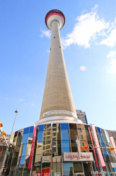 Calgary Tower Sky 360, Elk Steak, Calgary Tower, Travel To Canada, Mint Yogurt, Tourist Guide, Computer Repair, Calgary Alberta, Panoramic View