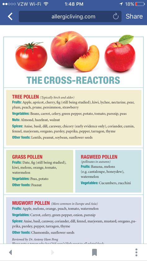 Very helpful list of cross-reactive fruits and veggies from Allergic Living. Food Allergies Awareness, Allergy Awareness, Allergy Remedies, Peanut Allergy, Potato Vegetable, Pollen Allergies, Fall Fruits, Seasonal Allergies, Elimination Diet