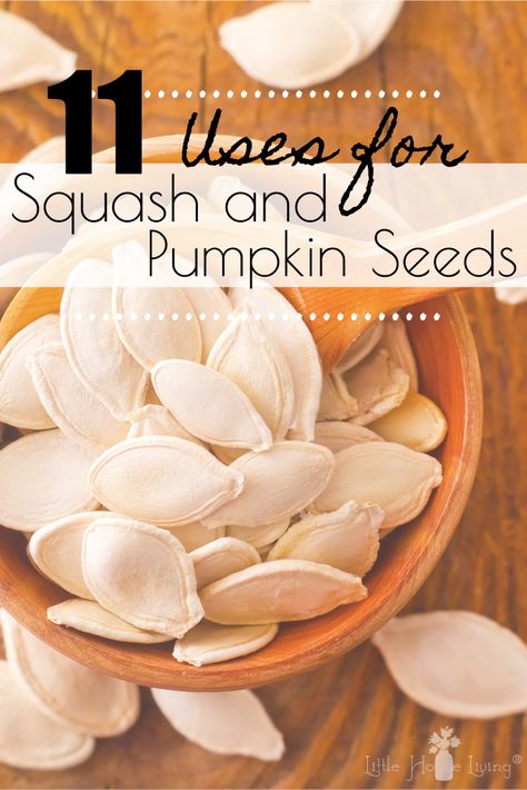 Saving Squash Seeds For Next Year, How To Save Butternut Squash Seeds, How To Plant Butternut Squash Seeds, Types Of Squash Winter, Canned Squash, Sweet Dumpling Squash, Butternut Squash Seeds, Seeds Benefits, Preserving Vegetables