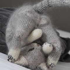 Hilde Dehaen (@minimazzel) • Instagram photos and videos Crochet Objects, Pet Sweaters, Animal Knitting Patterns, Knitted Cat, Knitting Patterns Toys, Stuffed Animal Cat, Kitten Love, Knitted Animals, Cat Doll