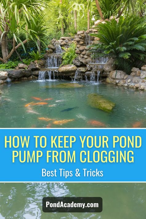 Does your pond pump keep clogging? Learn the tips and tricks from the pros to stop your pump from clogging up and keep it running smoothly. Furniture Goals, Swimming Ideas, Above Ground Pond, Pond Swimming, Swim Pond, Fish Ponds Backyard, Ponds Ideas, Pond Algae, Aqua Garden