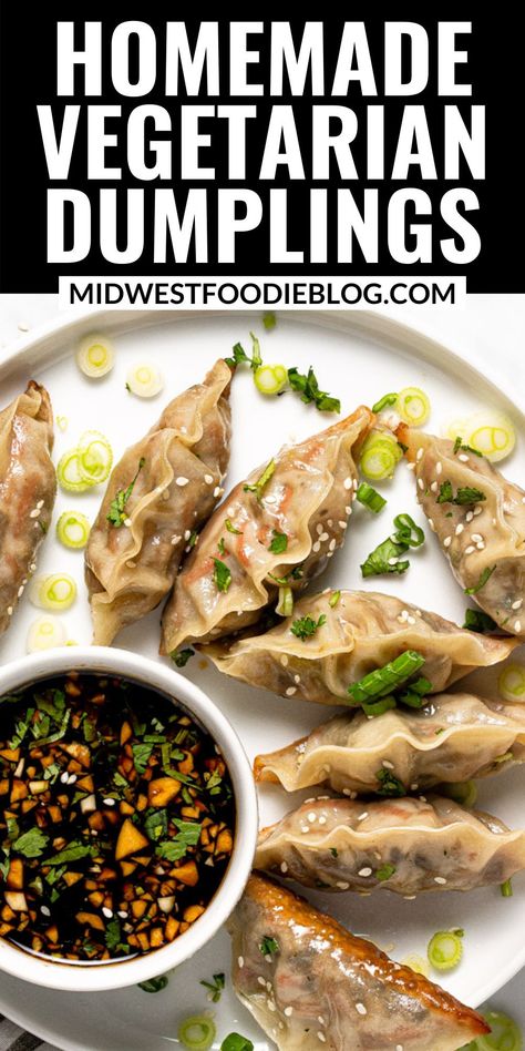 Veggie Dumplings Recipe, Vegetable Potstickers, Vegetarian Dumplings, Vegan Potstickers, Vegetarian Dumpling, Potstickers Recipe, Vegan Dumplings, Vegetable Dumplings, Dumpling Recipe