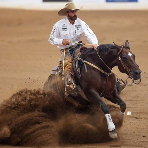 Georgy Girl, Western Horsemanship, Western Horseman, Horse Competition, Reining Horses, American Western, Red Team, Team Blue, Western Horse