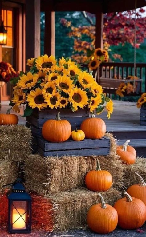 Fall Sunflowers, Fall Front Porch Decor Ideas, Fall Party Themes, Porch Decorating Ideas, Fall Front Porch Decor, Fall Decor Ideas, Fall Front Porch, Fall Outdoor Decor, Farmhouse Fall Decor