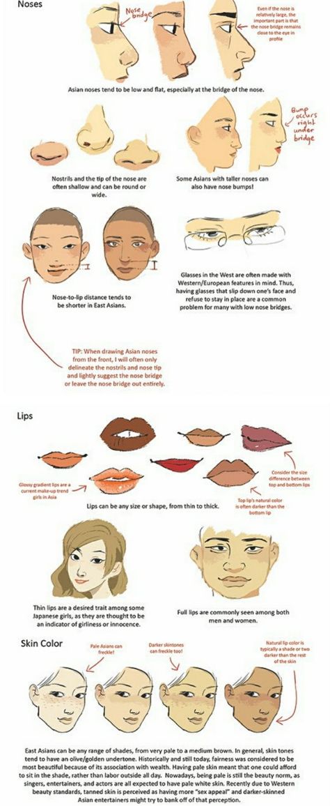 Drawing East Asian faces part 3 Asian Nose Drawing Reference, Drawing Diverse Faces, Asian Features Drawing Reference, Asian Noses Drawing, Asian Noses Reference, Asian Person Drawing Reference, Refrance Photo Face, Asian Features Reference, How To Draw East Asian Features