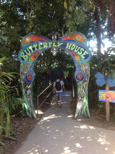 Entrance to Butterfly House, Melbourne Zoo, Parkville, Victoria, Australia. Butterfly Exhibit, Melbourne Zoo, Butterfly Habitat, Butterfly Room, Butterfly House, Butterfly Garden, Australia Travel, Melbourne, New Zealand