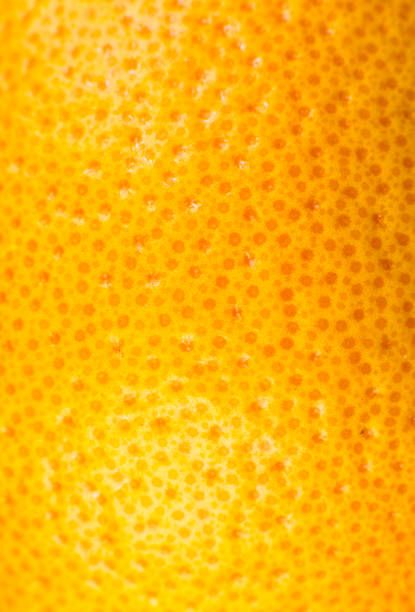 Fruit Zoomed In, Lemon Texture, Fruit Texture, Texture Procreate, Water Infusion, Ingredients Photography, Photography Board, Texture Drawing, School Painting