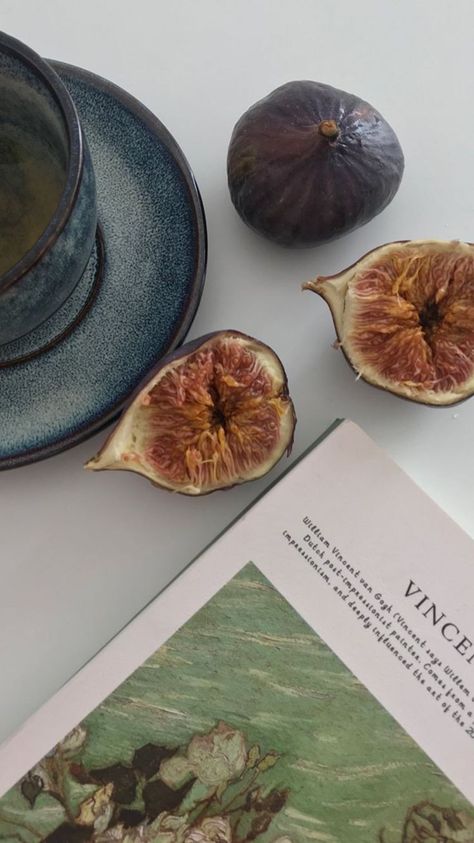 Pax Romana, Object Photography, Fig Tree, So Funny, Beige Aesthetic, Slow Living, Green Aesthetic, Book Aesthetic, Vincent Van Gogh