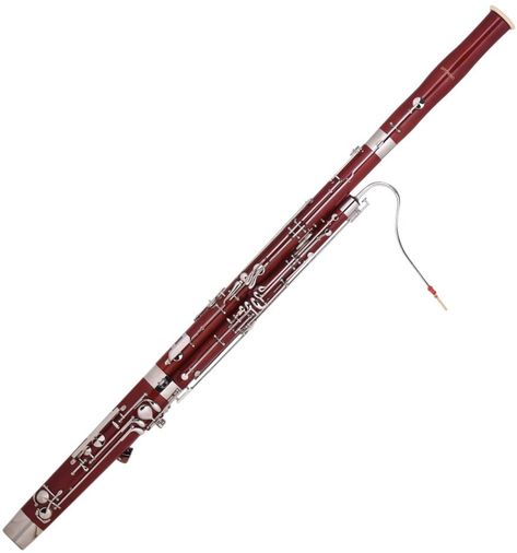 Bassoon Instrument, Wolf World, Png Polyvore, Orchestra Concerts, Paper Background Design, Film Score, Music Do, Bassoon, Oboe