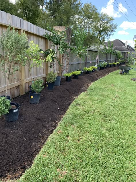 Landscaping Up Against Fence, Landscape Ideas For Fence Line, Landscaping Rectangular Backyard, Deck To Yard Transition, Good Trees To Plant Near House, Uneven Backyard Landscaping, Property Divider Landscaping, Rectangular Yard Landscaping, Mulch Along Fence Line