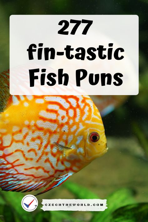 O-fish-all collection of so-fish-ticated Fish Puns and Fish Jokes. ✅ It can't get any Betta than this! ✅ Gill-iant content, ✅ fin-tastic sea world,... Funny Fish Birthday Cards, Fish Quotes Funny, Fishing Puns Funny, Sea Puns, Fish Sayings, Fishing Puns, Fish Jokes, I Love You Puns, Fish Quotes