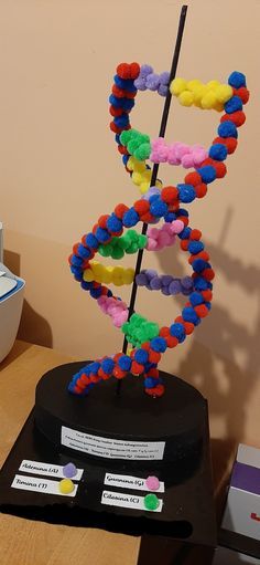 Recycled Dna Model, Creative Dna Model Project, Dna Strand Model, Dna Double Helix Model Projects, Model Of Dna Project, Creative Biology Projects, Dna Models Projects, 3d Dna Structure Project, Dna School Project