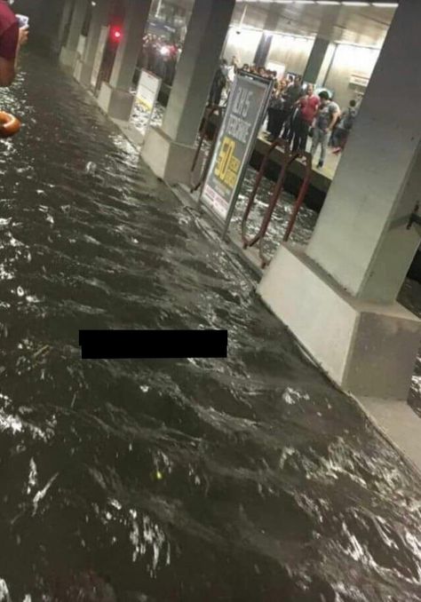 This flooded subway station my friend was waiting at. Dystopian Novels, Subway Station, My Buddy, Interesting Stuff, Urban Decay, My Friend, How Many, Bedroom Design