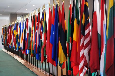 Country flags at UN Headquarters - BBNJ IGC-5 - 16Aug2022 - Photo | IISD Earth Negotiations Bulletin Un Headquarters, Country Flags, Quick Saves