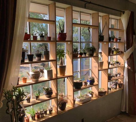 Around The Window Decor, Wooden Window Plant Shelf, Clever Window Coverings, Sliding Door Plant Shelf, Glass Plant Shelves, Plant Window Set Up, Indoor Window Shelves, Picture Window Plant Ideas, Picture Window Plant Shelf