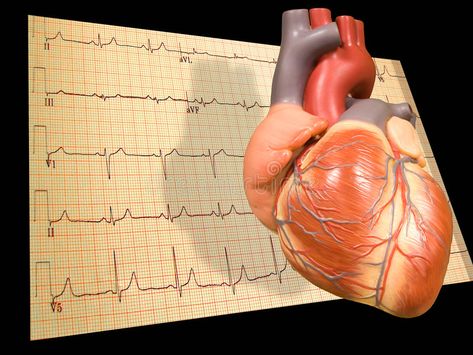 Heart with EKG. A model of the heart with a black background and an EKG scan or read-out vector illustration Heart Scan, Cardiology, Graphic Design Tutorials, Design Tutorials, Brochure Template, Black Background, A Black, Black Backgrounds, Stock Photography