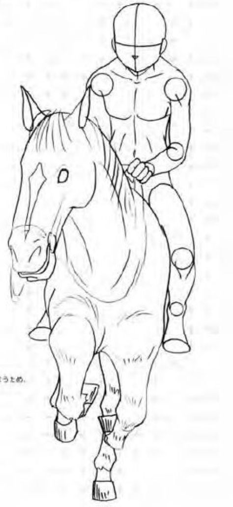 Riding A Horse Drawing Reference, Ride Horse Drawing, Horse Riding Poses Drawing, Horse Riding Pose Reference Drawing, Horse Rider Reference, Anime Horse Riding, Horse Riding Drawing Reference, Horse Riding Sketch, Horse With Rider Drawing