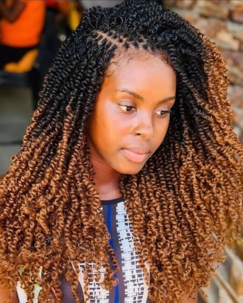 Spring Twist Hairstyles, Spring Twist Braids, Crochet Marley Hair, Twist Ideas, Relaxed Hair Journey, Short Hair Twist Styles, Micro Braids Hairstyles, Braiding Hair Colors, Small Twist