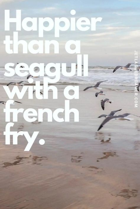 Funny Beach Captions, Beach Quotes And Sayings, Beach Love Quotes, Beach Quotes Inspirational, Short Beach Quotes, Ocean Captions, Beach Captions For Instagram, Beach Memes, Beach Quotes Funny