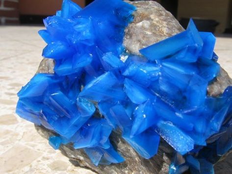 Easy Crystals growing on rocks #science #copper_sulfate Homemade Crystals, Diy Crystal Growing, Rocks Science, Crystals Geodes, Grow Crystals, Copper Sulphate, Grow Your Own Crystals, Crystals Growing, Crystal Growing