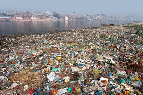 Garbage in the Ganges River in Varanasi, India. This is one of the most revered stretches of India's holiest river. River Pollution, Ganga River, Pet Project, Plastic Pollution, Varanasi, Science Activities, Pollution, Astronomy, Everyday Life