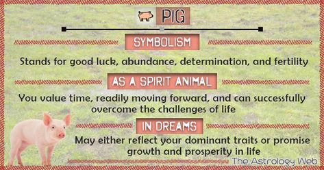 Pig Spiritual Meaning, Spiritual Animal Meanings, Animals Spiritual Meanings, Horse Meaning Spirit Animal, Animals Meaning Spiritual, Horse Spirit Animal, Animal Totem Spirit Guides, Spirit Animal Meaning, Healing Quotes Spiritual