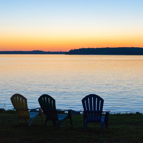 Lake Gaston, Yellow Perch, Rock Fish, Large Mouth Bass, Fishing Pier, Striped Bass, The Picnic, Largemouth Bass, Pier Fishing