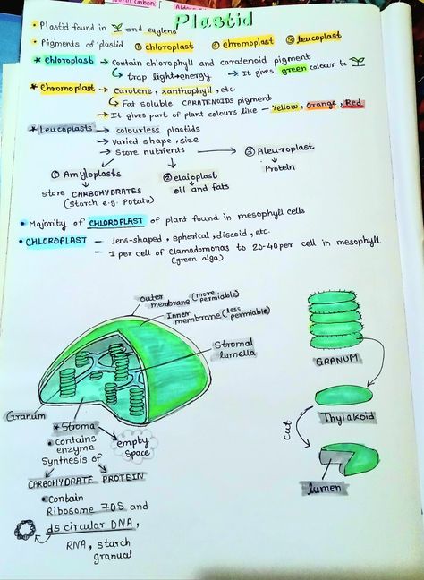 Cell The Unit Of Life, Life Notes, Green Algae, Green Colors, The Unit, Quick Saves