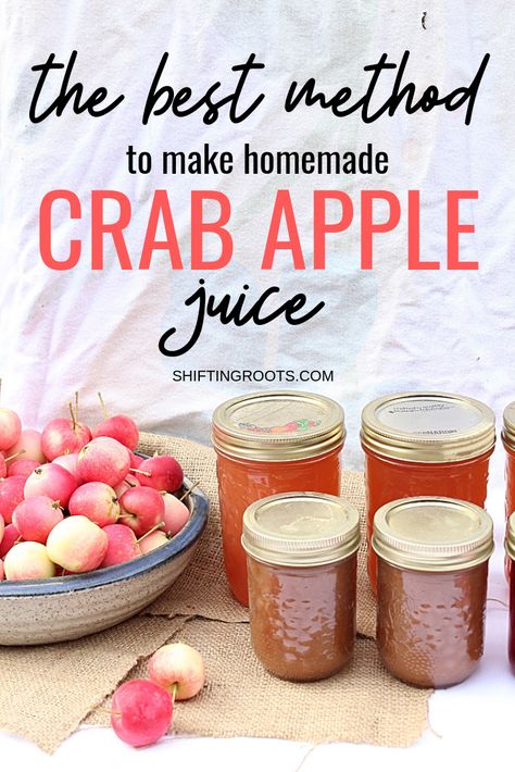 What's The Best Way to Juice Crab Apples?  And do you really need fancy equipment?  Here's the pros and cons of each method, so you can get the best juice possible for your crab apple recipes. #crabapple #apple #juice #juicing #canning Crab Apple Recipes, Crab Apple Jelly, Apple Juice Recipe, Canning Apples, Best Juice, Crab Apples, Smoothie Popsicles, Canning Peaches, Low Acid Recipes