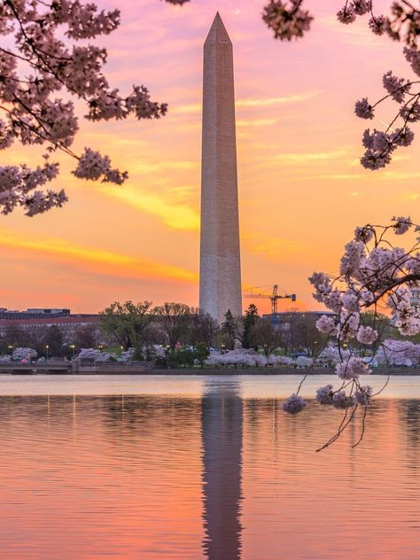 Awe-inspiring views of the Washington Monument Washington Monument Picture Ideas, Washington Memorial, Washington Dc Nature, Walla Walla Washington, Washington Monument, Famous Landmarks, Iconic Landmarks, Beautiful Places To Travel, Awe Inspiring