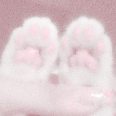 Bunny Paws, Soft Pink Theme, Images Kawaii, Aesthetic Cat, Kawaii Core, Cat Icon, Pastel Pink Aesthetic, Pink Themes, Kawaii Aesthetic