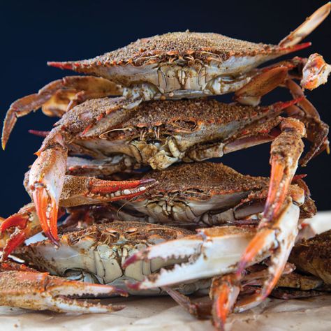 Steamed Blue Crabs Blue Crab Recipes, Softshell Crab, Maryland Crab Soup, Steamed Crabs, Louisiana Seafood, Hot Crab Dip, Blue Crabs, Crab Soup, Seafood Recipe