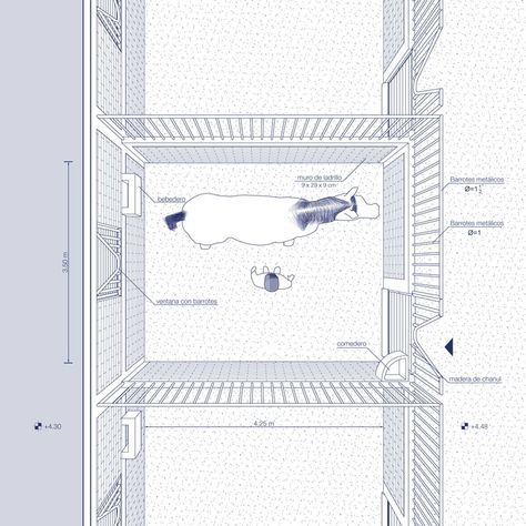 Horse Stables Design, Barn Layout, Horse Competition, Horse Barn Designs, Interior Design Drawings, Equestrian Facilities, Stables Design, Architecture Model House, Barn Design