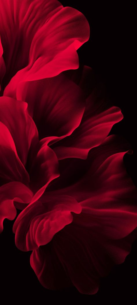 Nature Background Aesthetic, Backgrounds Iphone Aesthetic, Red Flower Wallpaper, Dark Wallpapers Aesthetic, Kosmetyki Mary Kay, Wallpaper Estetika, Dark Wallpapers, Iphone Wallpaper Stills, Flower Iphone Wallpaper