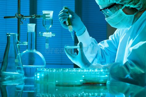 Laboratory. Scientist working at the laboratory , #SPONSORED, #Scientist, #Laboratory, #laboratory, #working #ad Scientist Laboratory, Laboratory Scientist, Fun Science, Stock Images Free, Bedroom Design, Photo Image, Science, Stock Photos, Bedroom