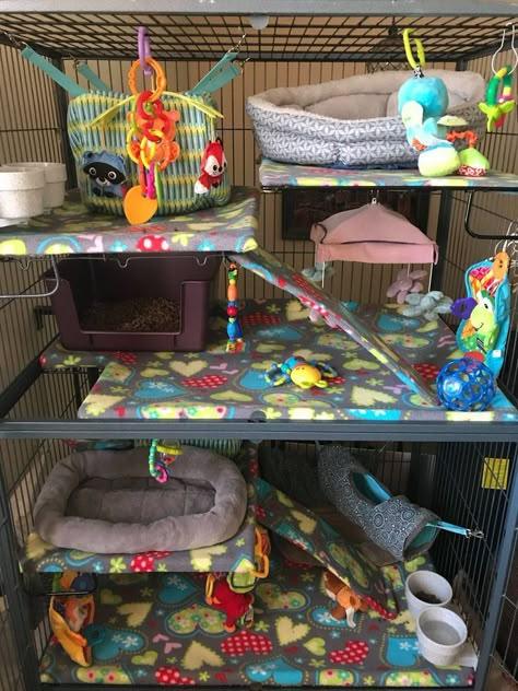 Rat cage Chinchilla Enclosure Ideas, Pet Possum Cage, Diy Rat Enclosures, Rat Enclosure Ideas, Cute Ferret Cage Ideas, Diy Rat Cage, Ferret Enclosure, Rat Cage Diy, Rat Ideas