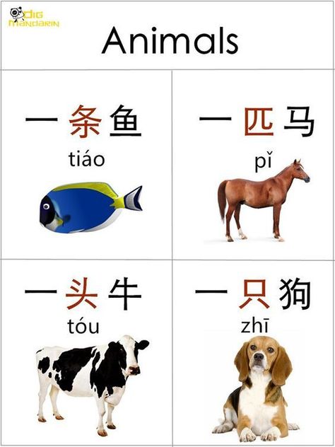 measure words animals Chinese Measure Words, Words In Chinese, Mandarin Characters, Chinese Flashcards, Mandarin Chinese Languages, Learn Chinese Characters, Bahasa China, Mandarin Lessons, Chinese Language Words