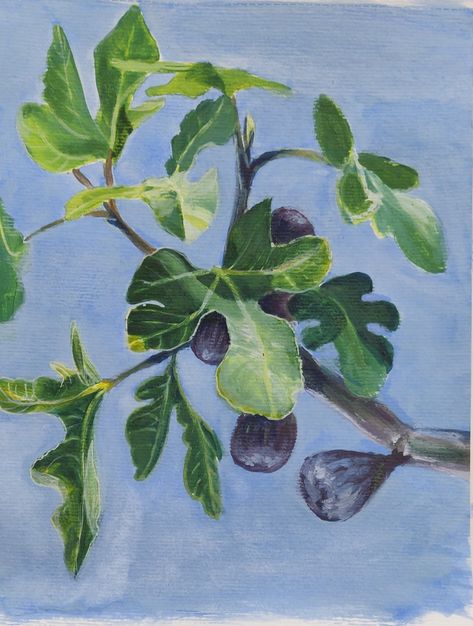 Fig Tree Painting, Fig Painting, Fig Plant, Tree Mural, Mural Ideas, Oil Pastel Art, Wall Paintings, Plant Painting, Fig Tree