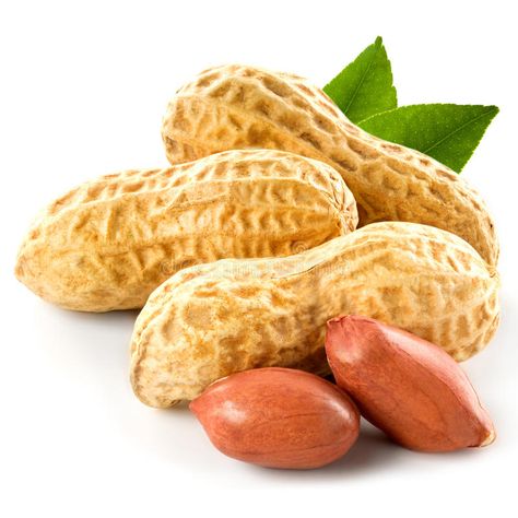 Peanut. Isolated on white background , #Affiliate, #Isolated, #Peanut, #background, #white #ad Easy Morning Smoothies, Peanut Pictures, Peanut Recipes, Peanut Allergy, Protein Rich Foods, Peanut Brittle, Fruit Photography, Peanut Oil, Classic Cookies