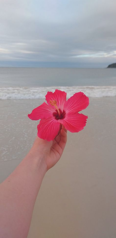 Summer Phone Theme Widgets, Hot Pink Beach Aesthetic, Hot Pink Summer Wallpaper, Tropical Pink Aesthetic, Tropical Background Aesthetic, Hot Pink Flower Wallpaper, Hot Pink Flowers Aesthetic, Hot Pink Summer Aesthetic, Beach Flowers Aesthetic