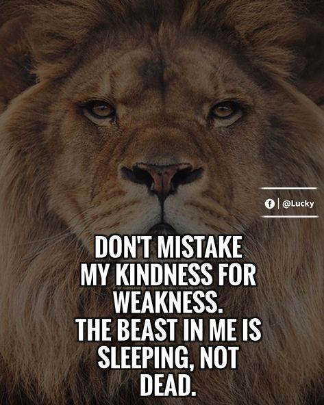 Don't ever Don’t Confuse My Kindness For Weakness, Beast Quote Attitude, Dont Mistake My Kindness Quotes, Beast Mode Tattoo, Kindness For Weakness Quotes, Kindness Is Not Weakness, Masters Quotes, Homeless Quotes, Judgment Quotes