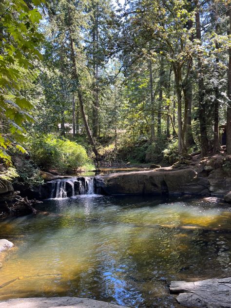 #summer #waterfall #river #forest #pnw #nature #aesthetic #washington #fyp #august Count Down To Summer, Washington Summer, England Aesthetic, River Forest, Forest River, Nature Aesthetic, What Is Life About, Washington State, Camping Trips