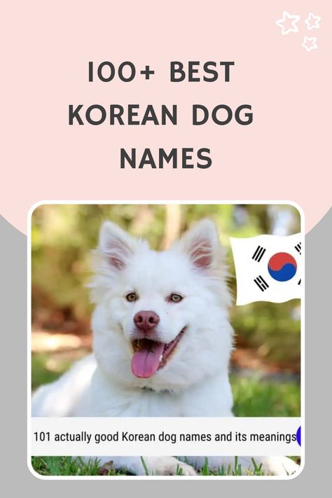 Korean names are becoming increasingly popular for dogs because of the country’s rich culture and language. Here we have found some of the best and most Korean Name For Dog, Korean Pet Names, Cute Names For Puppies, Korean Dog Names, Dog Symbolism, Puppy Girl Names, Pet Names For Dogs, Puppy Advice