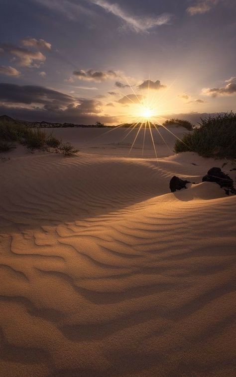 Deserts Of The World, Spain Photography, Desert Life, The Ballet, Desert Landscaping, In The Desert, Sand Dunes, Beautiful Sunset, The Desert