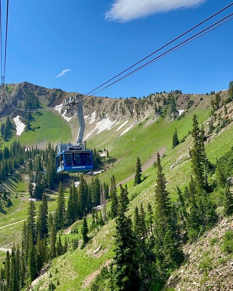 Just wrapping up the last few days in Salt Lake City and wanted to share some of our favorite things to do in the city and surrounding areas: ⛷️This is Snowbird - one of 8 ski resorts less than an hour from the city. There are a ton of fun summer activities including a ropes course, alpine slide, and alpine coaster. 🌸 Red Butte Garden is the largest botanical gardens in the region with stunning plants and epic city views. 🦕 The Utah Natural History Museum is all things Utah history and in... Red Butte Garden, Snowbird Utah, Utah History, Alpine Slide, Alpine Coaster, Ropes Course, Fun Summer Activities, Ski Resorts, Natural History Museum