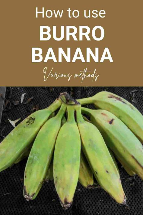 A Pinterest pin featuring a collage of burro bananas and informative text. The image highlights the nutritional benefits, versatile uses, and tips on buying and storing burro bananas. Perfect for those seeking to expand their culinary horizons and embrace a healthy lifestyle. #BurroBananas #BananaGuide #HealthyLiving Burro Banana, Bananas Recipes, Banana Uses, Fried Chips, Banana Oatmeal Cookies, Similarities And Differences, Banana Healthy, Nutrition Health, Reduce Food Waste