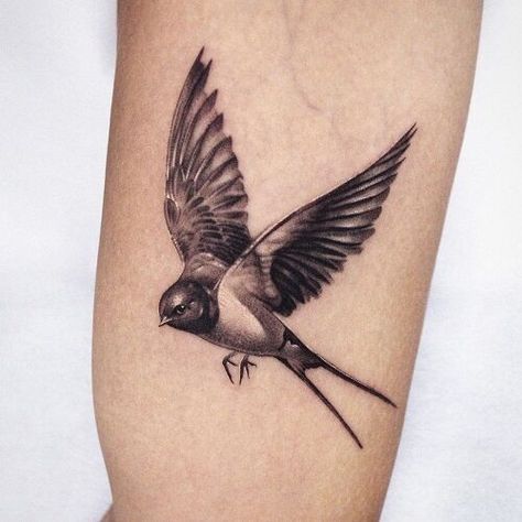 Flying Bird Tattoos, Cool Bird Tattoos, Bird Tattoos For Men, Barn Swallow Tattoo, Golondrinas Tattoo, Tree With Birds Tattoo, Realistic Bird Tattoo, Eagle Back Tattoo, Phoenix Feather Tattoos