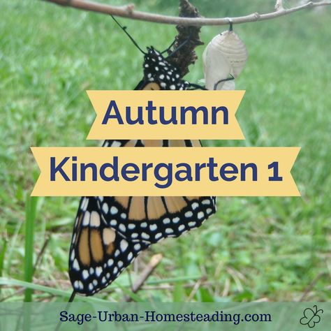 Homeschool kindergarten activities and ideas for autumn, mainly following the Waldorf education style for seasonal themes Homeschool Kindergarten Activities, Autumn Kindergarten, Waldorf Fall, Homeschool Themes, Homeschooling Activities, Ideas For Autumn, Waldorf Homeschool, Fall Preschool Activities, Fall Kindergarten